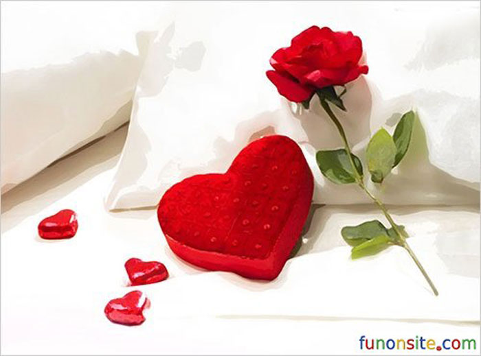 عکس های عشق و دوست داشتن