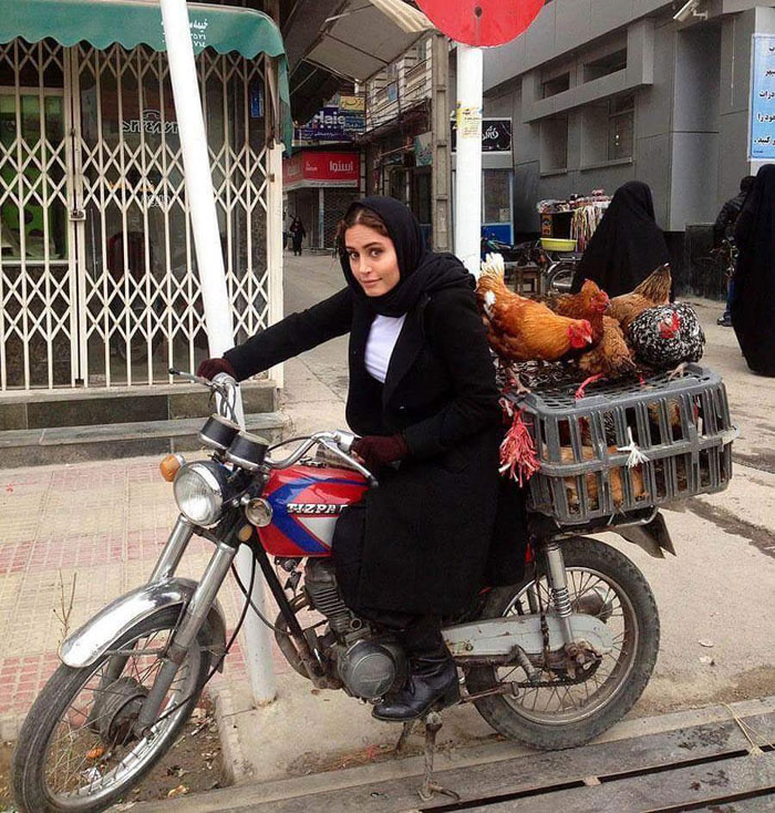 الناز شاکردوست سوار بر موتور حمل مرغ