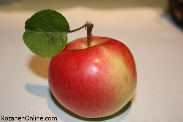 Fresh-apple-fruit-see-new-12.jpg