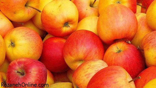 Fresh-apple-fruit-see-new-22.jpg
