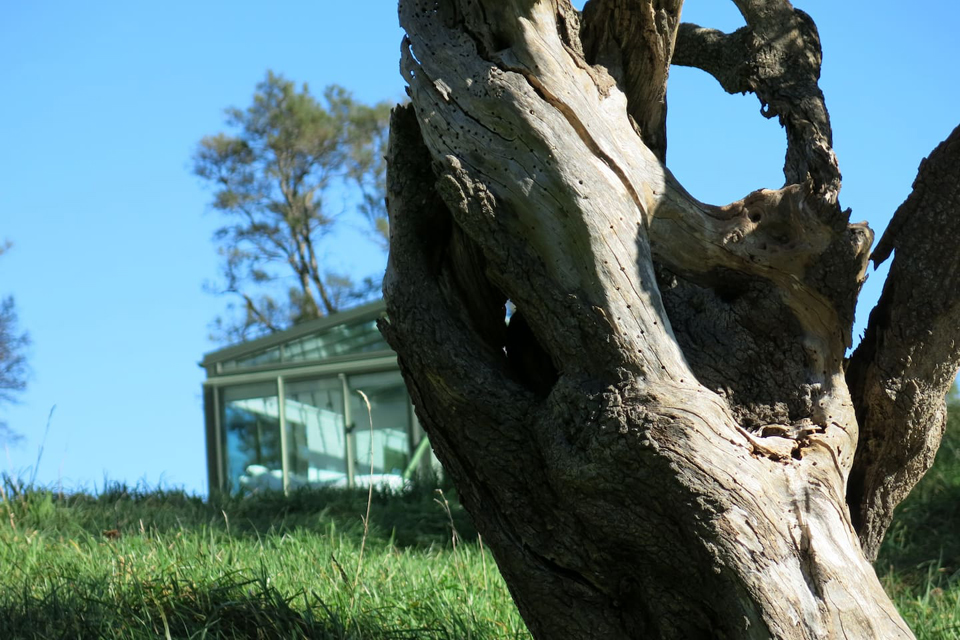 خانه شیشه ای زیبا و مجهز در دل طبیعت در نیوزیلند + تصاویر