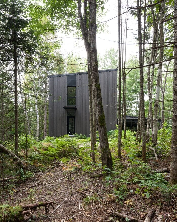 خانه چوبی به رنگ تیره در جنگلی با درختان صنوبر