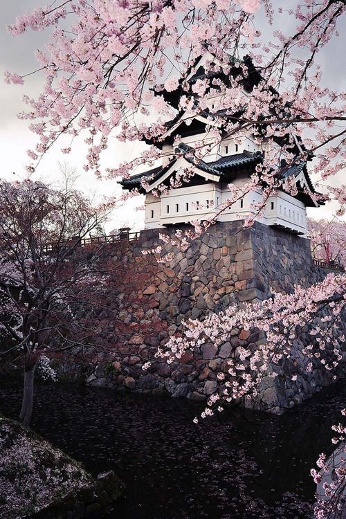 قلعه هیروساکی ژاپن