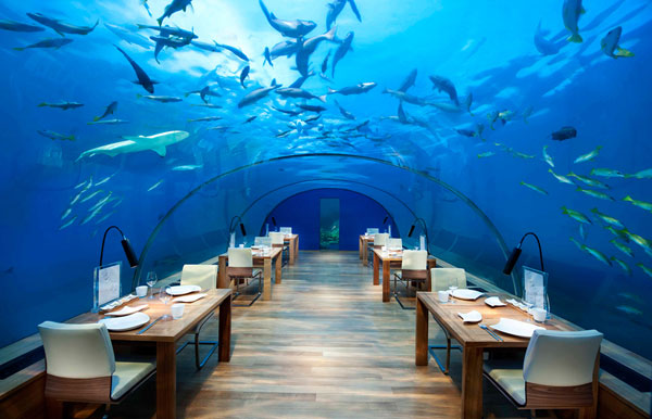 رستوران ایتا، مالدیو
