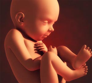 چگونه به جنین درون شکم آموزش دهیم؟