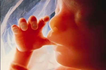 آیا دستکاری ژنتیکی در جنین وجود دارد؟