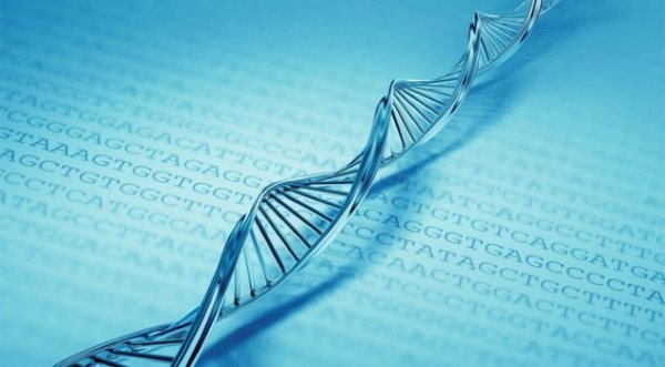 تست DNA صحیح تر است یا آمینوسنتز ؟