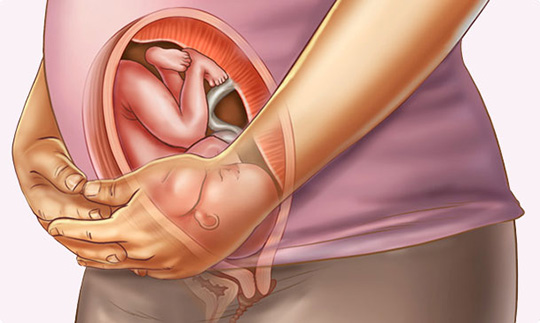 چرت زدن جنین در هفته سی و یکم بارداری