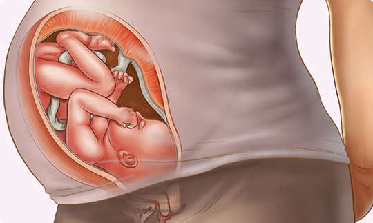ذخیره پادتن ها از هفته سی و هفتم بارداری