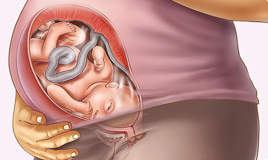 تکمیل اعضای بدن جنین در هفته سی و نهم بارداری