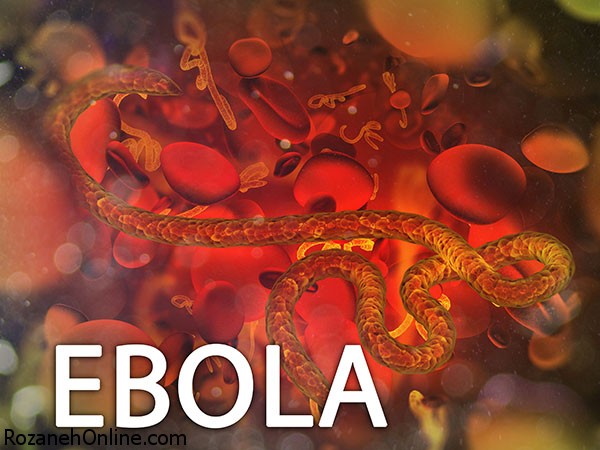 یافته های جدید در مورد ابولا