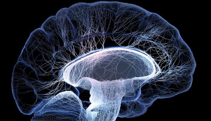 مبتلا شدن به آلزایمر با رسوبات چربی در مغز 