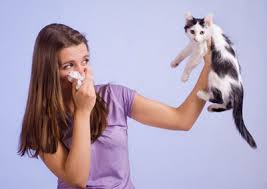 چرا در بین زنان بیماری آسم رایج تر است؟
