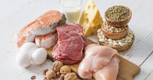 چرا مصرف پروتئین ها لازم و ضروریست؟