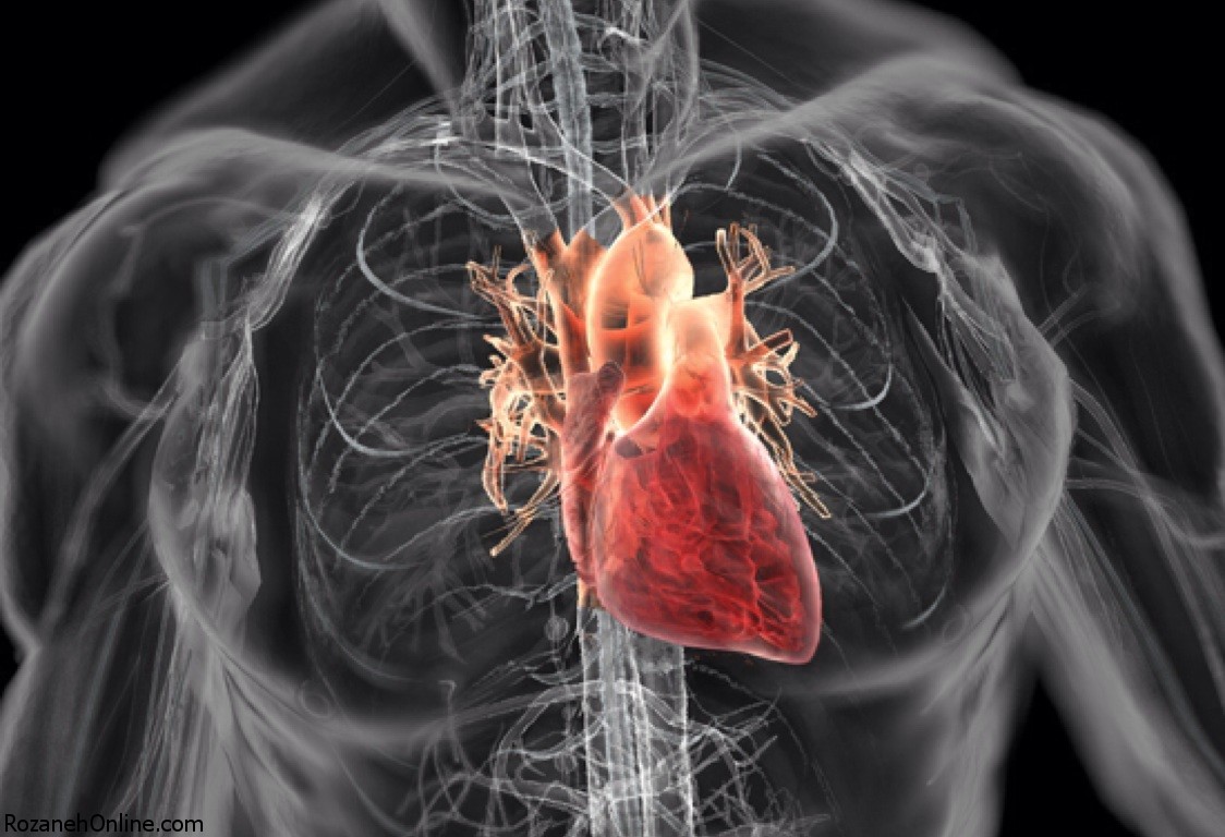 ارتباط سن قلب با بیماری های قلبی 