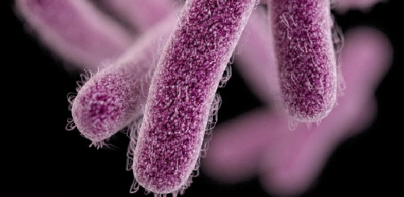 مقابله با باکتری مقاوم به آنتی‌بیوتیک