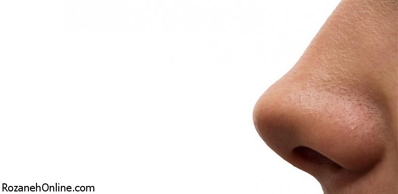 یافته های جدید در مورد بینی مردان
