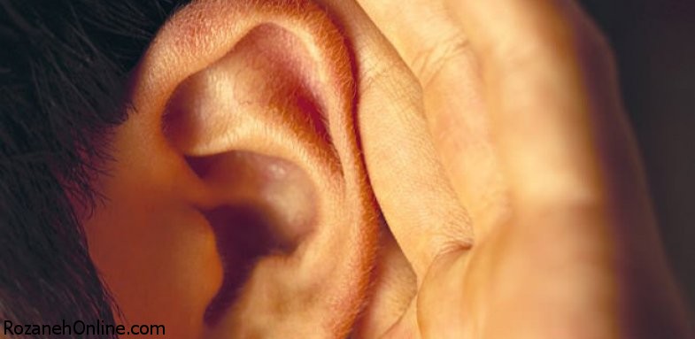 تاثیر هورمون اکسی توسین بر شنوایی