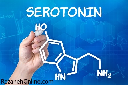 اهمیت سروتونین برای مغز