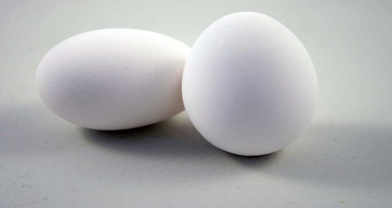 پیشگیری از ابتلا به دیابت نوع ۲ با استفاده از تخم مرغ