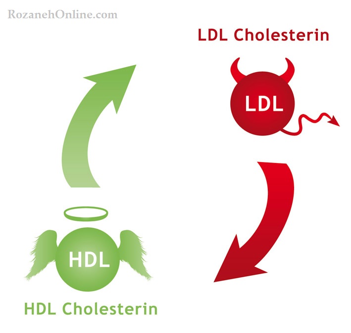 کلسترول خوب و بد چیست همه چیز در مورد کلسترول HDL و LDL