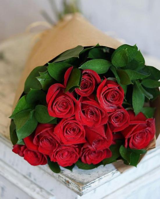عکس گل رز قرمز برای پروفایل,گل رز قرمز,عکس گل رز قرمز 2018