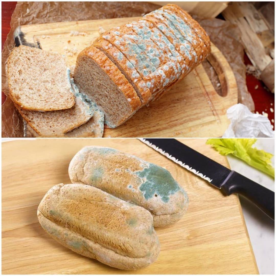 نان خشک کپک‌زده جایگزین ادویه در بازار