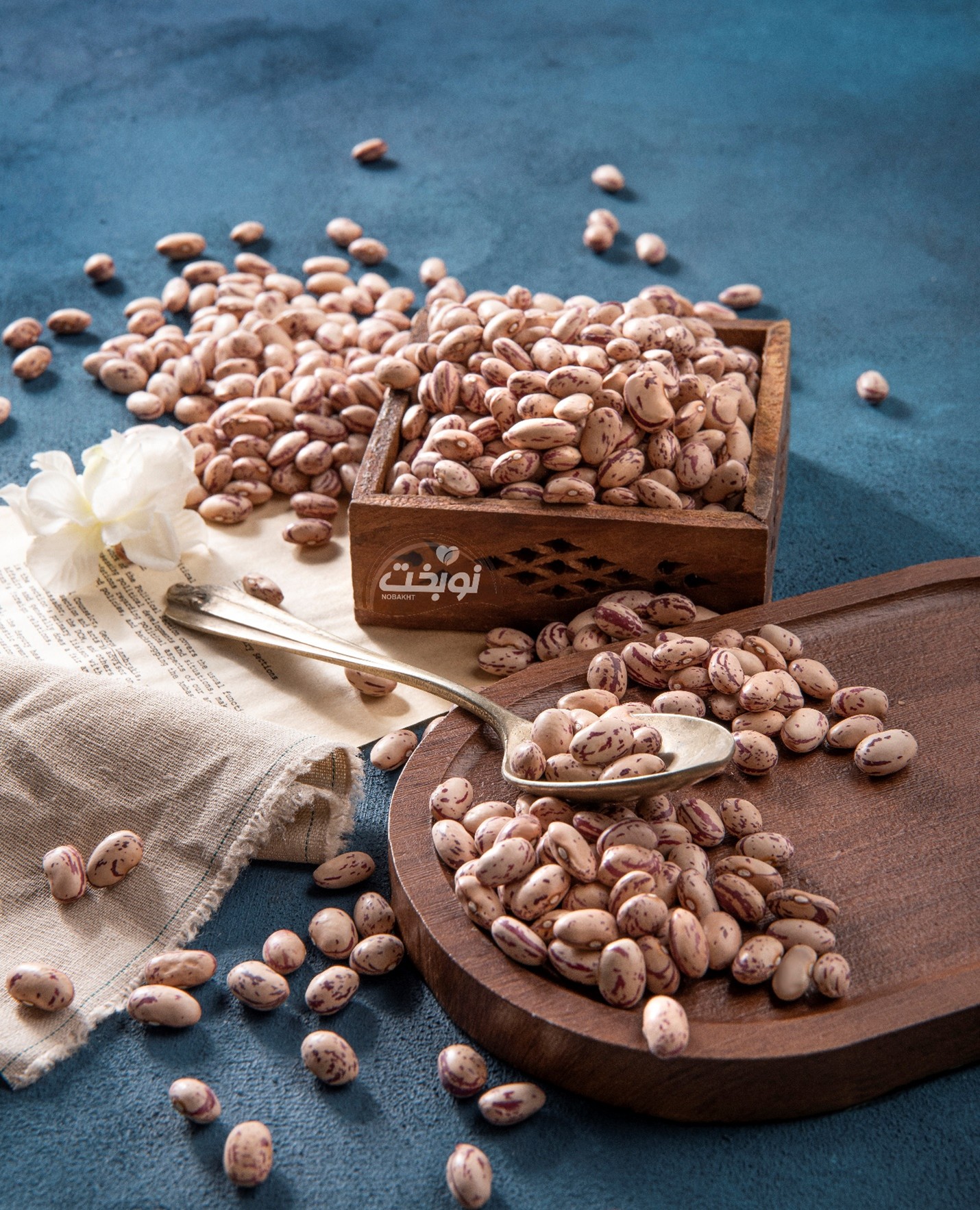 لوبیا چیتی ازبکستان؛ راهکار استراتژیک برای توسعه صنعت کنسروسازی ایران